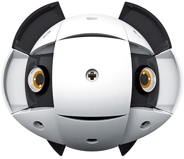 Animale da costruire Kor Tazoo Jelo