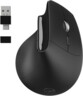 Mouse Ottico Ergonomico USB-C: comfort e precisione