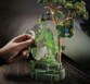 Playmobil 71009 Foresta Tropicale con luce notturna