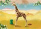 Playmobil Wiltopia – La Giraffa